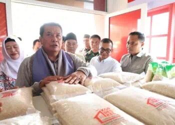 Bupati Tangerang Resmikan Koperasi Merah Putih Curug Kulon