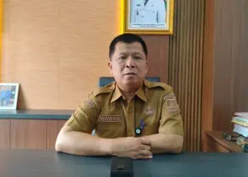 Kepala Dinas Penanaman Modal dan Pelayanan Terpadu Satu Pintu (DPMPTSP) Kabupaten Serang, Wawan Ikhwanudin. (ISTIMEWA)