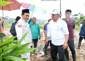 Perkuat Identitas Daerah, Bupati Tangerang Tanam Ribuan Bambu