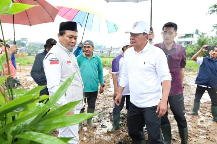 Perkuat Identitas Daerah, Bupati Tangerang Tanam Ribuan Bambu