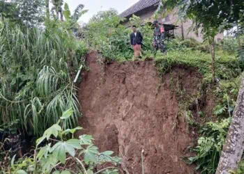 LONGSORAN TANAH TEBING - Akibat intensitas hujan tinggi, sejumlah rumah di Kampung Cinyurup, Kelurahan Juhut, Kecamatan Karangtanjung, Kabupaten Pandeglang, tertimpa longsoran tanah tebing dan mengalami rusak sedang, Rabu (21/1/2026). (ISTIMEWA)