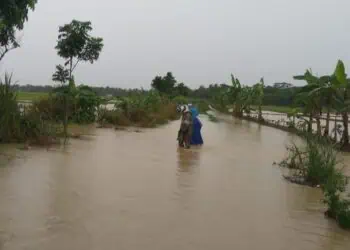 TERENDAM BANJIR : Lahan pertanian di Kecamatan Tunjungteja masih terendam banjir. (ISTIMEWA)