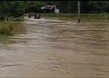 Banjir di Pandeglang Meluas, TNI - Polri Hingga Relawan Kemanusiaan Siaga di Lokasi