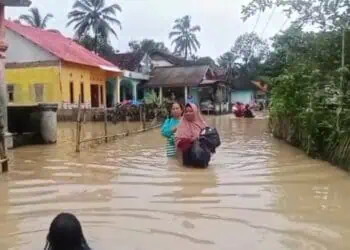 Akibat luapan Sungai Cilemer dan Cimoyan, ratusan rumah warga di Desa Idaman, Kecamatan Patia, Kabupaten Pandeglang, terendam banjir, Minggu (11/1/2026). (ISTIMEWA)
