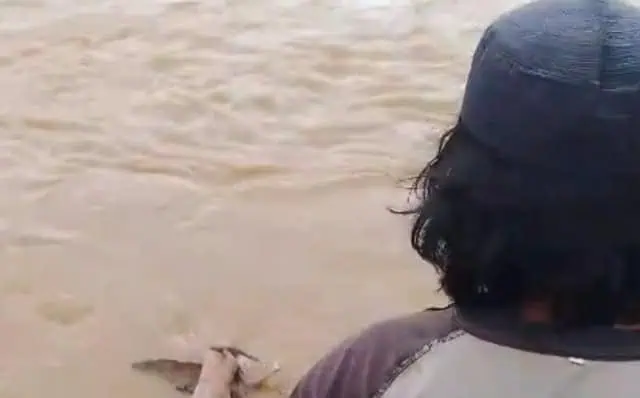 Jasad Perempuan Tanpa Busana Ditemukan Mengapung di Sungai Cimadur Lebak