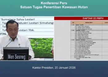 Izin 28 Perusahaan Pelanggar Aturan Hutan Dicabut, Berikut Ini Daftar Lengkapnya