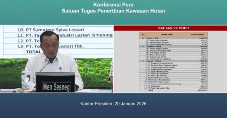 Izin 28 Perusahaan Pelanggar Aturan Hutan Dicabut, Berikut Ini Daftar Lengkapnya
