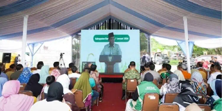 Produksi Padi Banten 2025 Naik 16,84 %