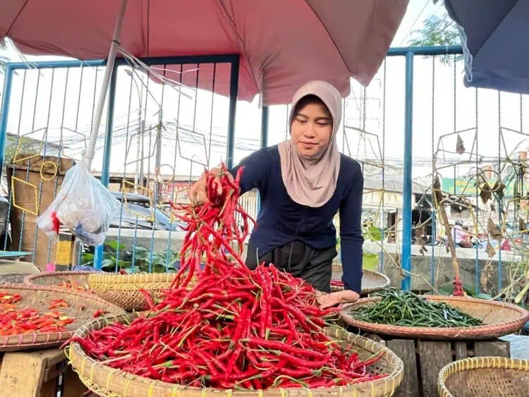 Harga Cabai Mulai Menurun di Kota Tangerang, Giliran Bawang Putih Naik