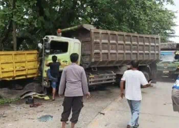 Tronton dan Coltdiesel di Lebak Tabrakan, Seorang Sopir Tewas