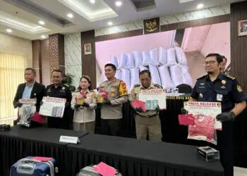Bernilai Ekonomis Rp 4,28 Miliar, Puluhan Ribu Benih Lobster Gagal Diselundupkan