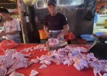 Harga Daging Melonjak Jelang Ramadan, Ayam Rp 40 Ribu, Kerbau Rp180 Ribu