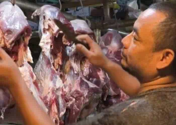 MENJUAL DAGING : Seorang pedagang daging di Kabupaten Lebak memeriksa ketersediaan daging di lapaknya. (DOKUMEN/SATELITNEWS.COM)