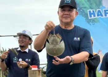Tanam Mangrove dan Tebar Mimi, Pemkab Tangerang Peringati HPSN di Pesisir Mauk