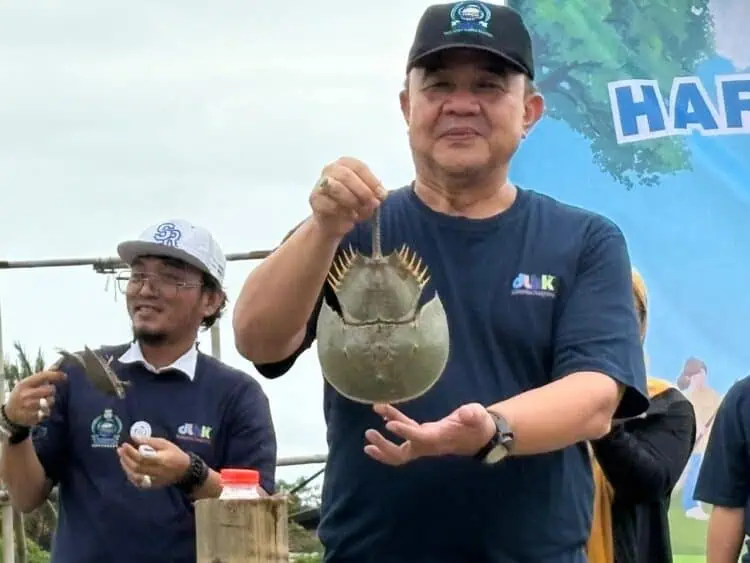 Tanam Mangrove dan Tebar Mimi, Pemkab Tangerang Peringati HPSN di Pesisir Mauk