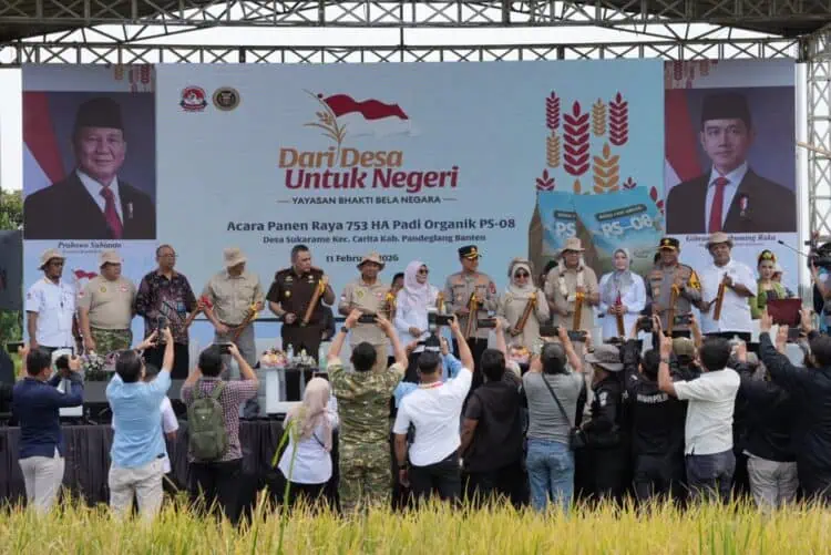 Dorong Indonesia Swasembada Pangan, Panen Raya Padi 753 Hektar Digelar di Carita Pandeglang