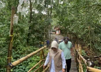 Bupati Pandeglang Raden Dewi Setiani, monitoring jembatan roboh di Kecamatan Jiput. (ISTIMEWA)