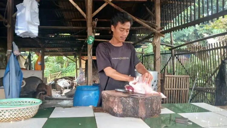 Ayam Rp33 Ribu, Cabai Rp170 Ribu, IRT Tigaraksa Menjerit