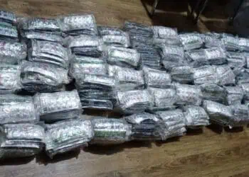 Barang Pemotor Jatuh, Pemilik Malah Kabur Saat Dipanggil Warga, Ternyata 49.500 Butir Tramadol