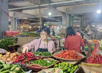 Harga Pangan Melonjak Naik, Ini Strategi Wali Kota Tangsel