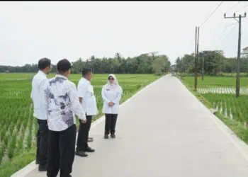 TINJAU PEMBANGUNAN JALAN - Gubernur Banten Andra Soni, didampingi Kepala DPUPR Provinsi Banten Arlan Marzan, beserta Bupati Pandeglang Raden Dewi Setiani, meninjau jalan program Bang Andra, Kamis (26/2). (ISTIMEWA)