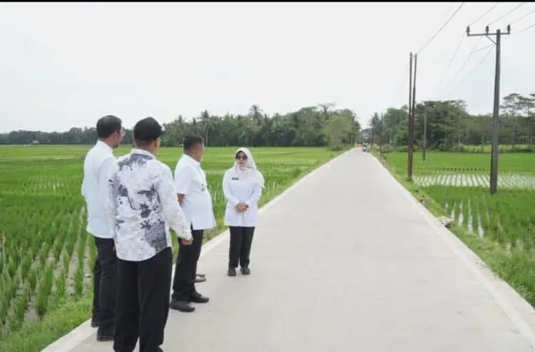 TINJAU PEMBANGUNAN JALAN - Gubernur Banten Andra Soni, didampingi Kepala DPUPR Provinsi Banten Arlan Marzan, beserta Bupati Pandeglang Raden Dewi Setiani, meninjau jalan program Bang Andra, Kamis (26/2). (ISTIMEWA)