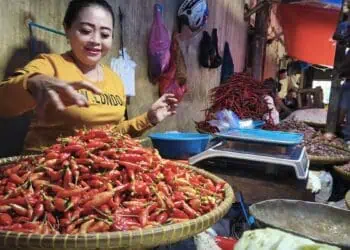 Pasokan Pangan di Lebak Aman, Cabai-Daging Waspada Naik