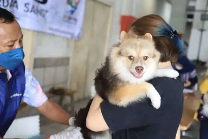 DKP Kota Tangerang Gelar Vaksinasi Rabies Gratis, Ini Waktu dan Tempatnya