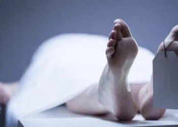 Tertimpa Bongkahan Batu, Penambang di Lebak Tewas