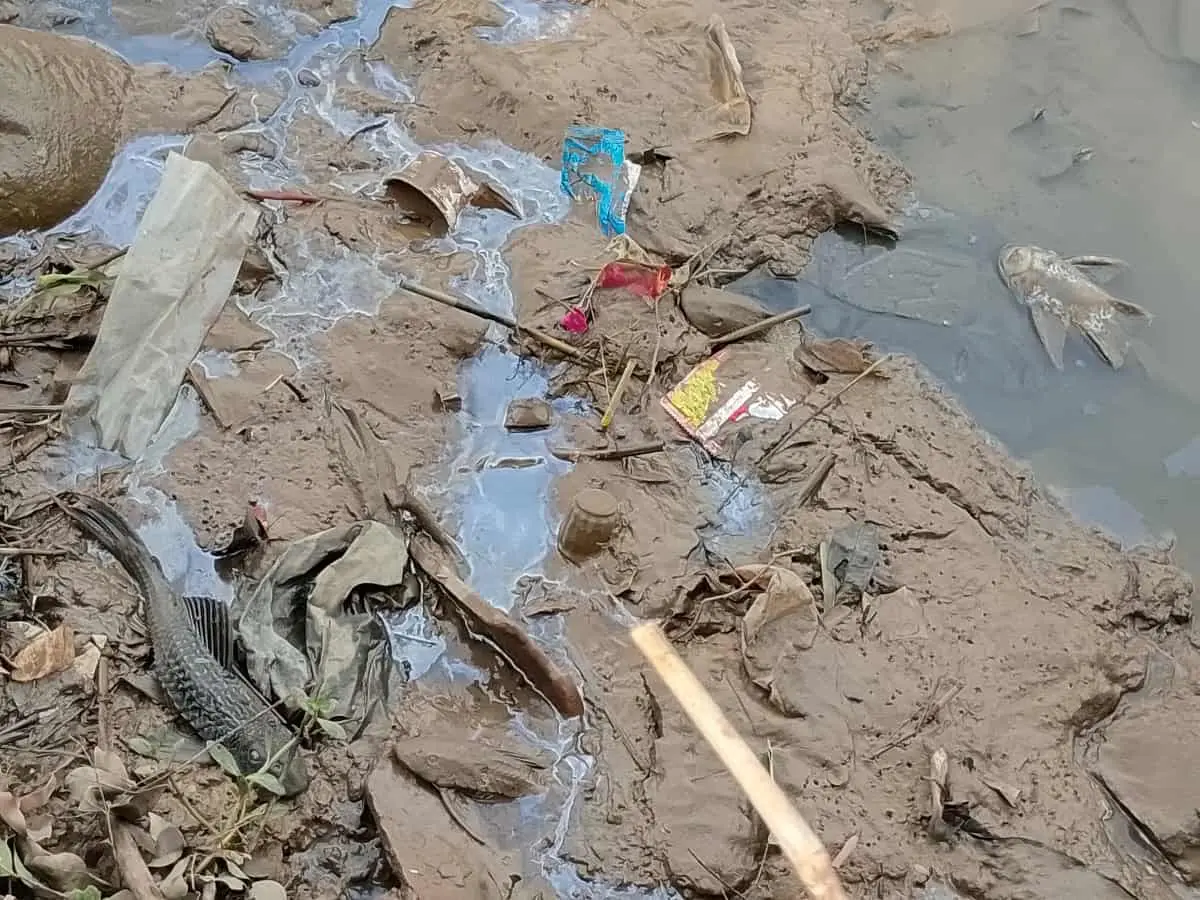 Hasil Pantauan Sementara, Kondisi Air Sungai Cisadane Tangerang Masih Aman Hasil Pantauan Sementara, Kondisi Air Sungai Cisadane Tangerang Masih Aman