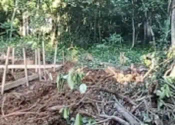Proyek Koperasi Merah Putih Gusur Makam Ratusan Tahun, Warga di Lebak Marah
