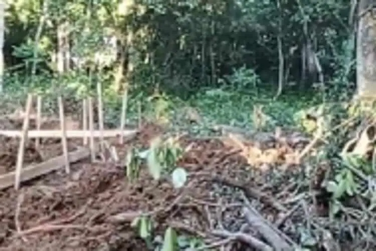 Proyek Koperasi Merah Putih di Lebak Disebut Gusur Makam Ratusan Tahun, Warga Marah