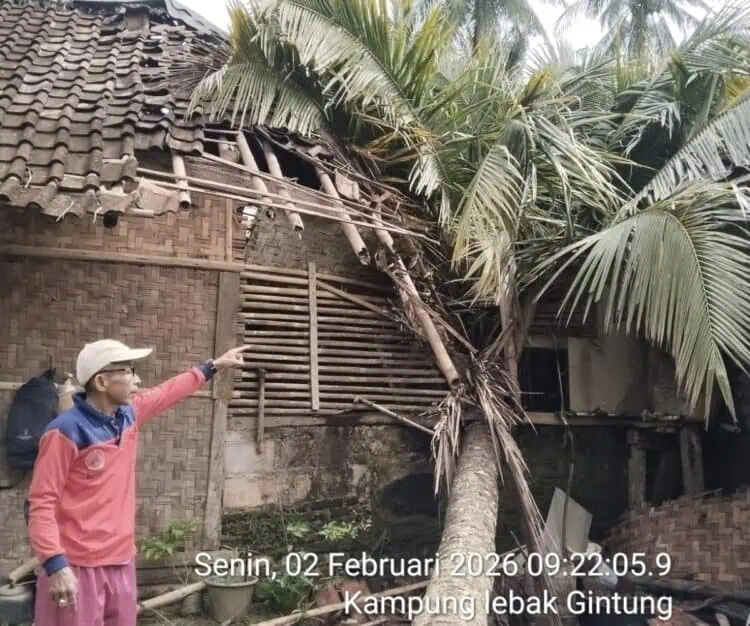 Pemilik Sedang Tidur, Rumah Warga di Lebak Tertimpa Pohon Kelapa Tumbang