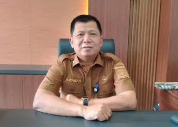 Kepala DPMPTSP Kabupaten Serang, Wawan Ihwanudin. (ISTIMEWA)