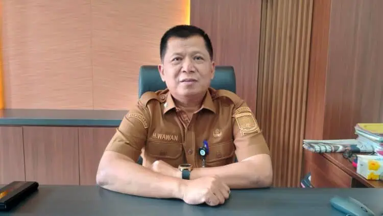 Kepala DPMPTSP Kabupaten Serang, Wawan Ihwanudin. (ISTIMEWA)