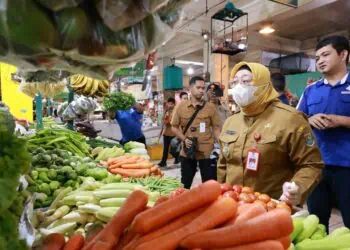 Wabup Tangerang Intan Pantau Harga Komoditas Pokok di Pasar Kelapa Dua