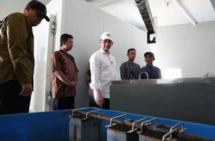 MENINJAU : Wagub Banten Achmad Dimyati Natakusumah, meninjau KNMP Cikiruhwetan, Kecamatan Cikeusik. (ISTIMEWA)