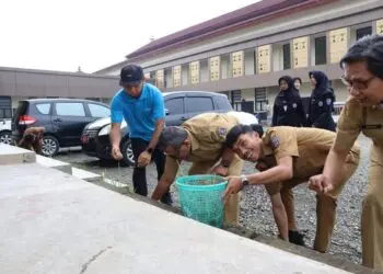 ASN Pemkab Serang, bersih - bersih lingkungan perkantoran dalam rangka mewujudkan Indonesia asri. (ISTIMEWA)