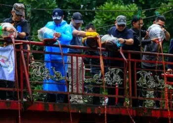 Sempat Tercemar Zat Kimia, Kondisi Kali Jaletreng Tangsel Membaik