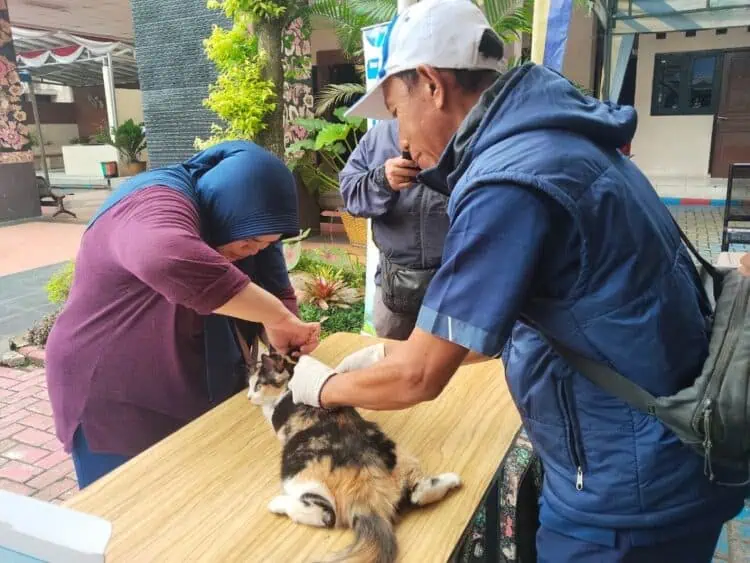 Pemkot Tangerang Gelar Vaksinasi Rabies Gratis di Kebon Besar