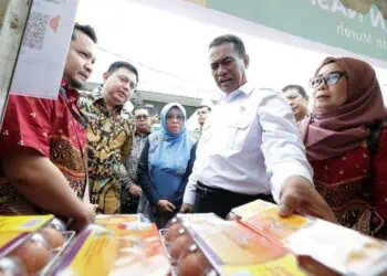 Pemerintah Pastikan Stok Pangan Aman, Stok Beras 6 Juta Ton