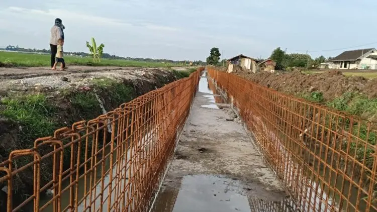Atasi Tengkulak Nakal, Pemprov Banten Bentuk Brigade Pangan