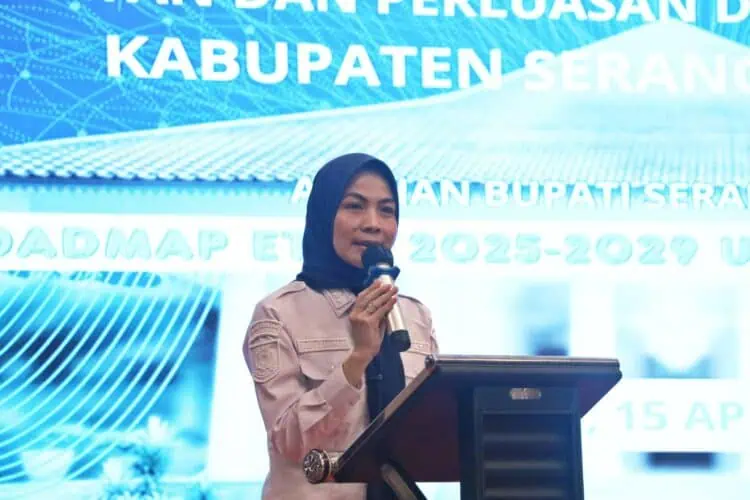High Level Meeting TP2DD, Bupati Serang Tegaskan Hindari Kebocoran Pendapatan