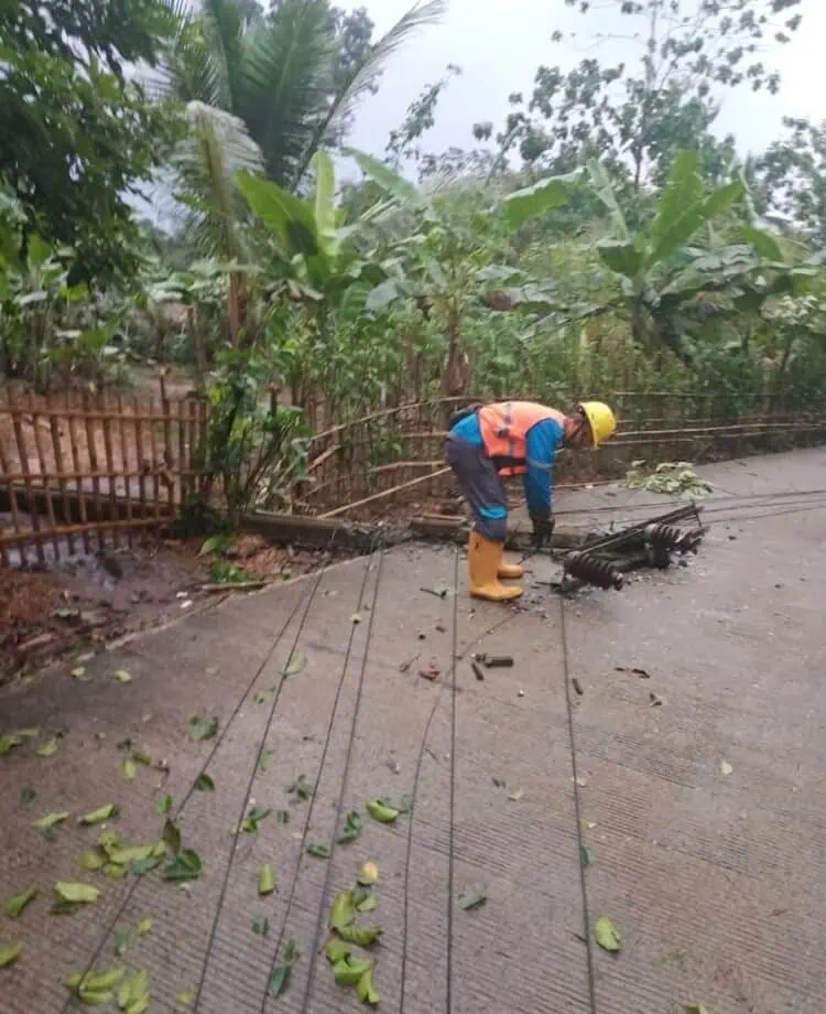 Puting Beliung Terjang Munjul Pandeglang, Pepohonan Tumbang dan Jaringan PLN Terganggu