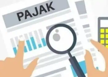 Ilustrasi capaian Pajak. (ISTIMEWA)