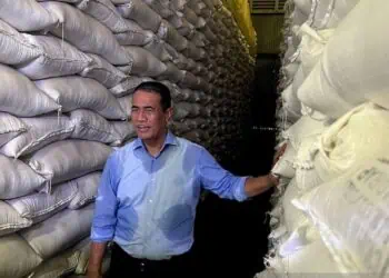 Indonesia Punya Stok Beras 4,5 Juta Ton, Diklaim Aman Untuk 11 Bulan