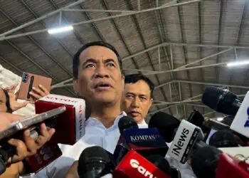 Harga Beras Diklaim Stabil, Stok Tembus Rekor 5,19 Juta Ton