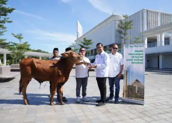 Sinar Mas Land Sebar 482 Hewan Kurban di Idul Adha 2026, Ada yang Unik!