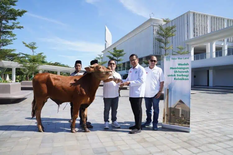 Sinar Mas Land Sebar 482 Hewan Kurban di Idul Adha 2026, Ada yang Unik!