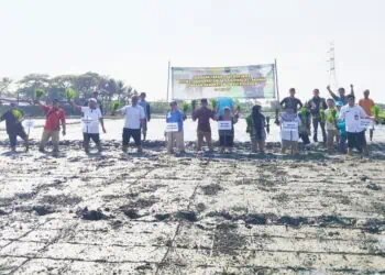 Percepat Luas Tambah Tanam, Ratusan Ribu Hektare Sawah Di Banten Mulai Digarap